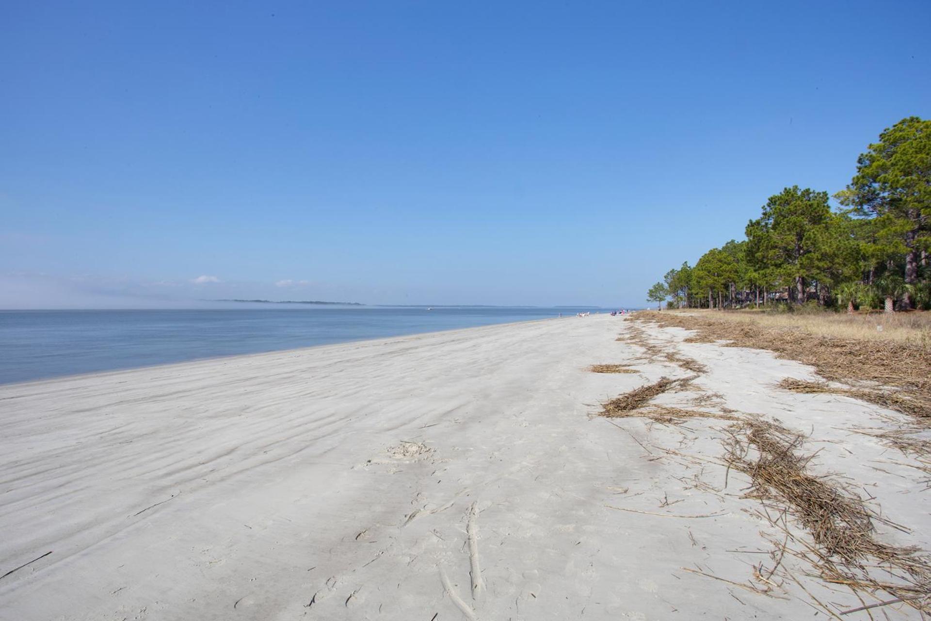 Pet Friendly, Nature Preserve, Loft, Nh52 Hilton Head Island