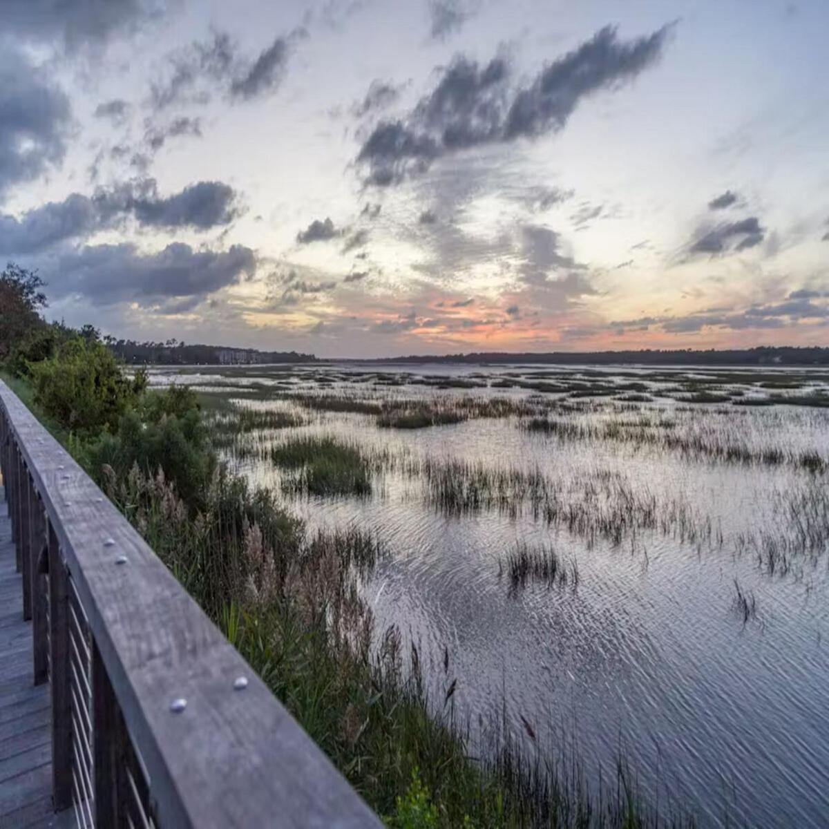 Apartment Walk To The And Coligny! Hilton Head Island