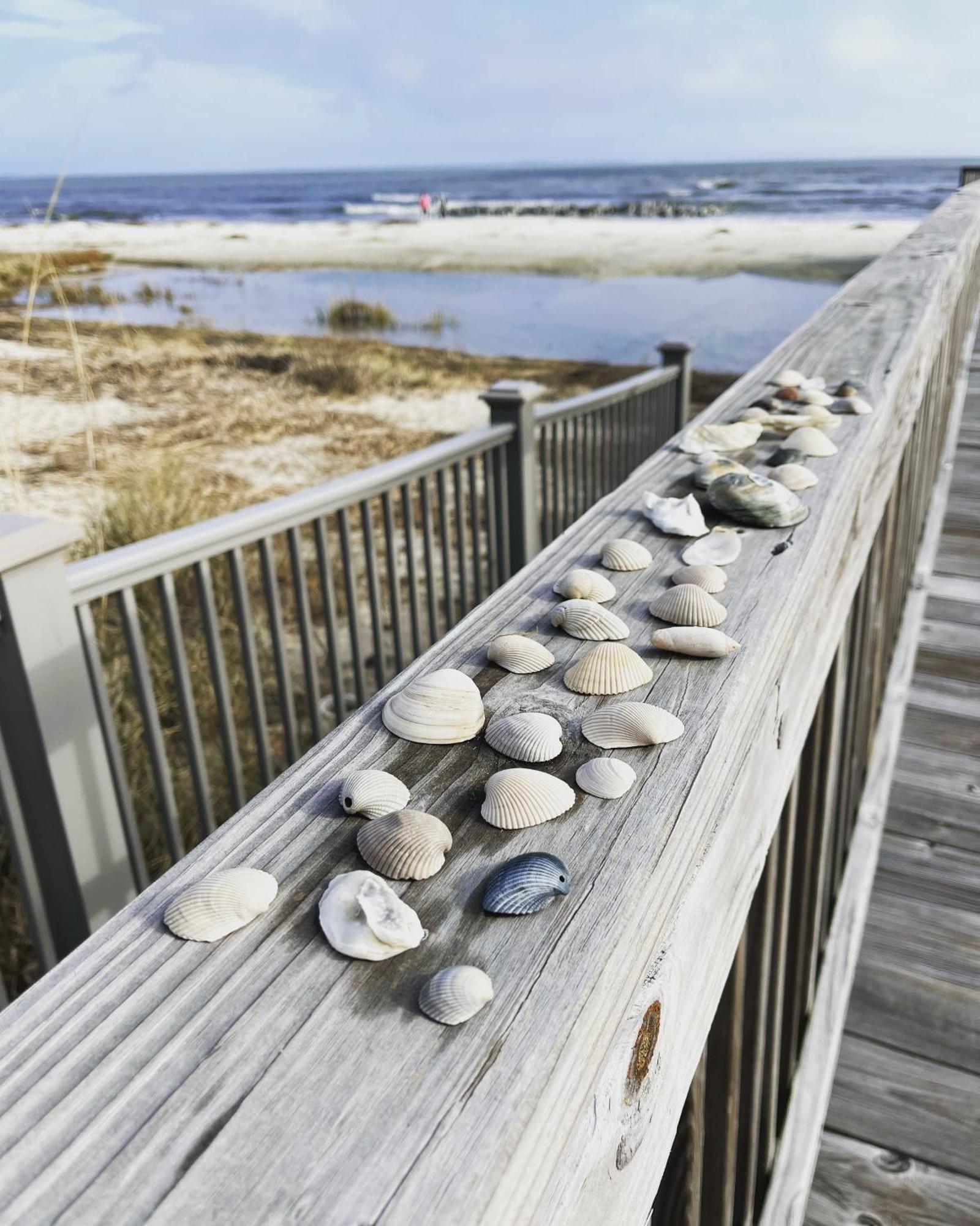The Islander- Luxurious * Hilton Head Island