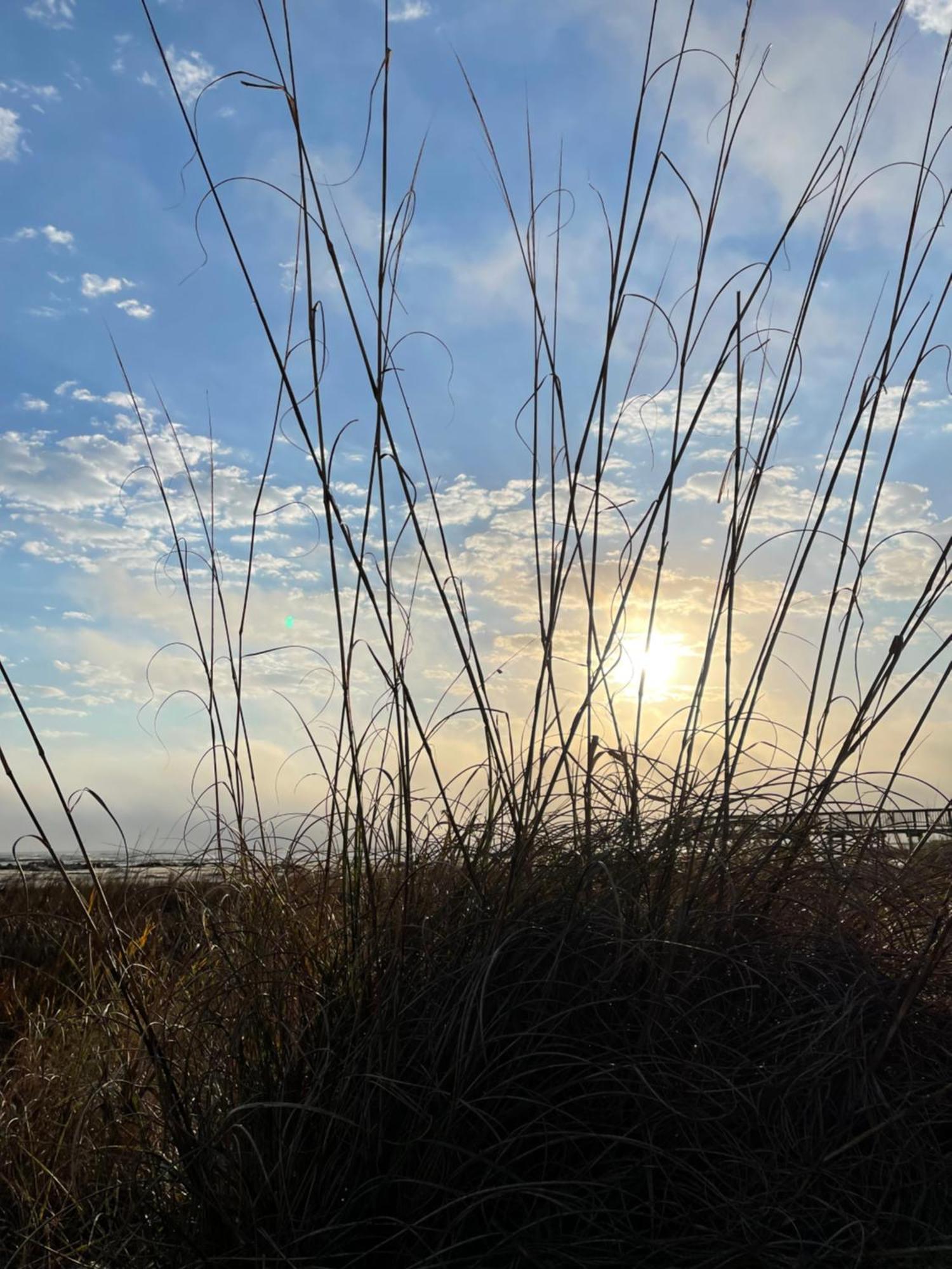 Apartment The Islander- Luxurious Hilton Head Island