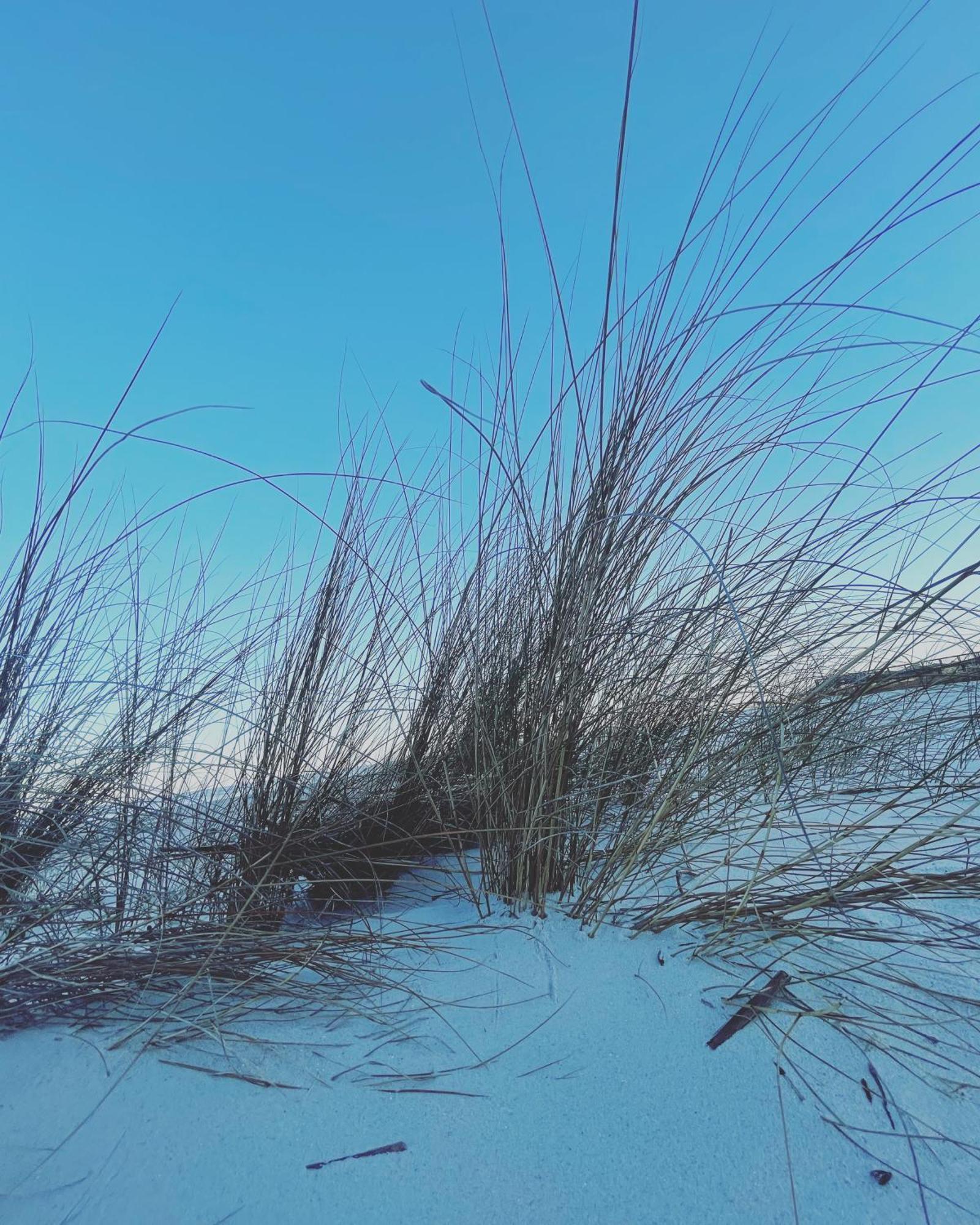 The Islander- Luxurious Hilton Head Island