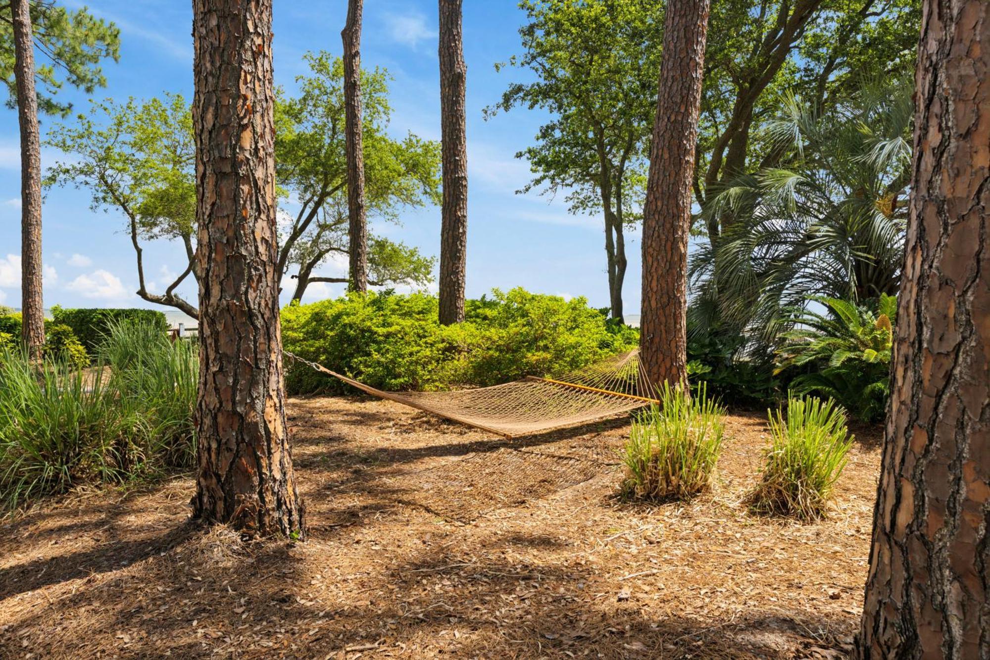 Peaceful Treetop - 2br/2ba