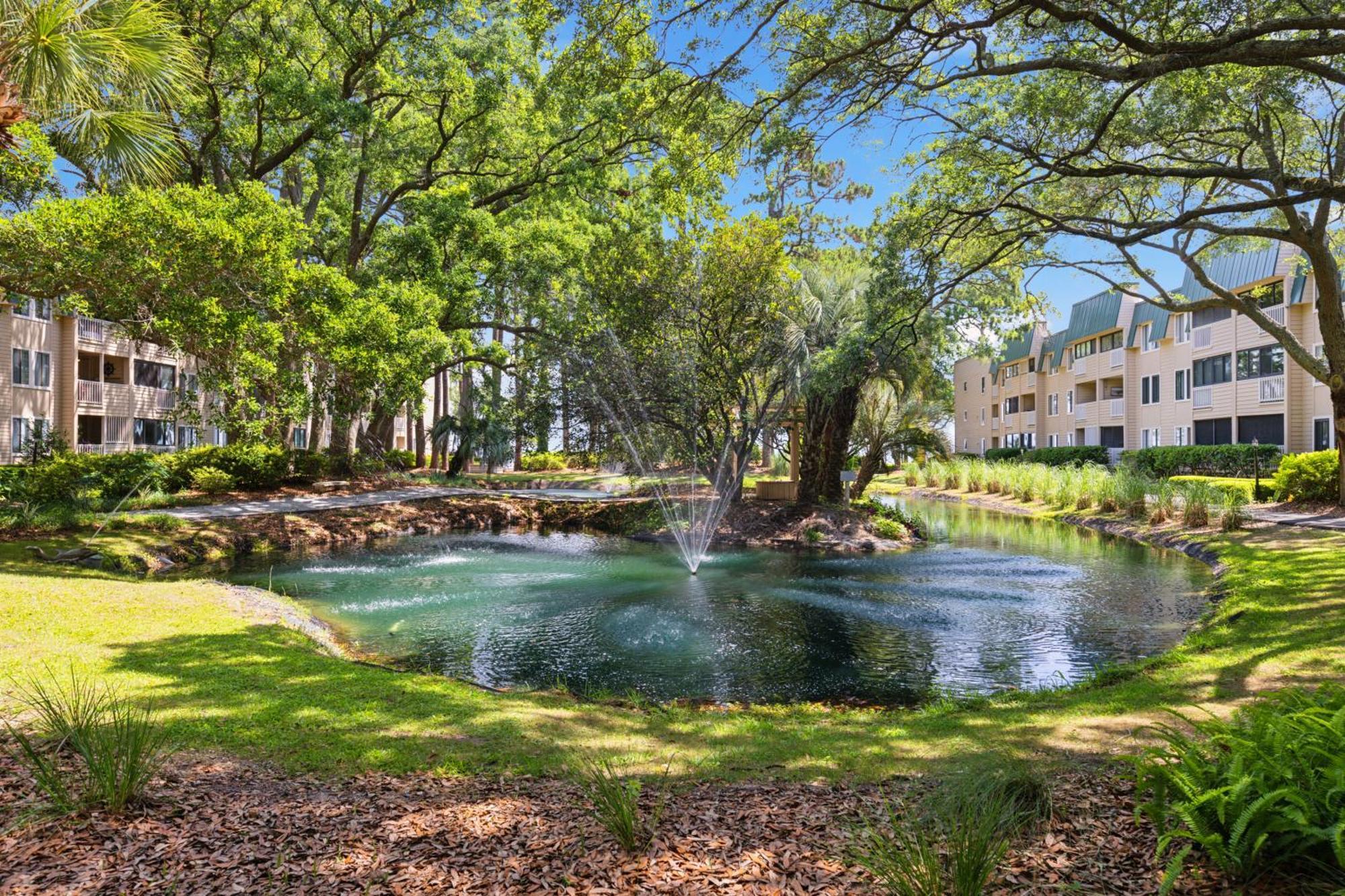 Peaceful Treetop - 2br/2ba Apartment