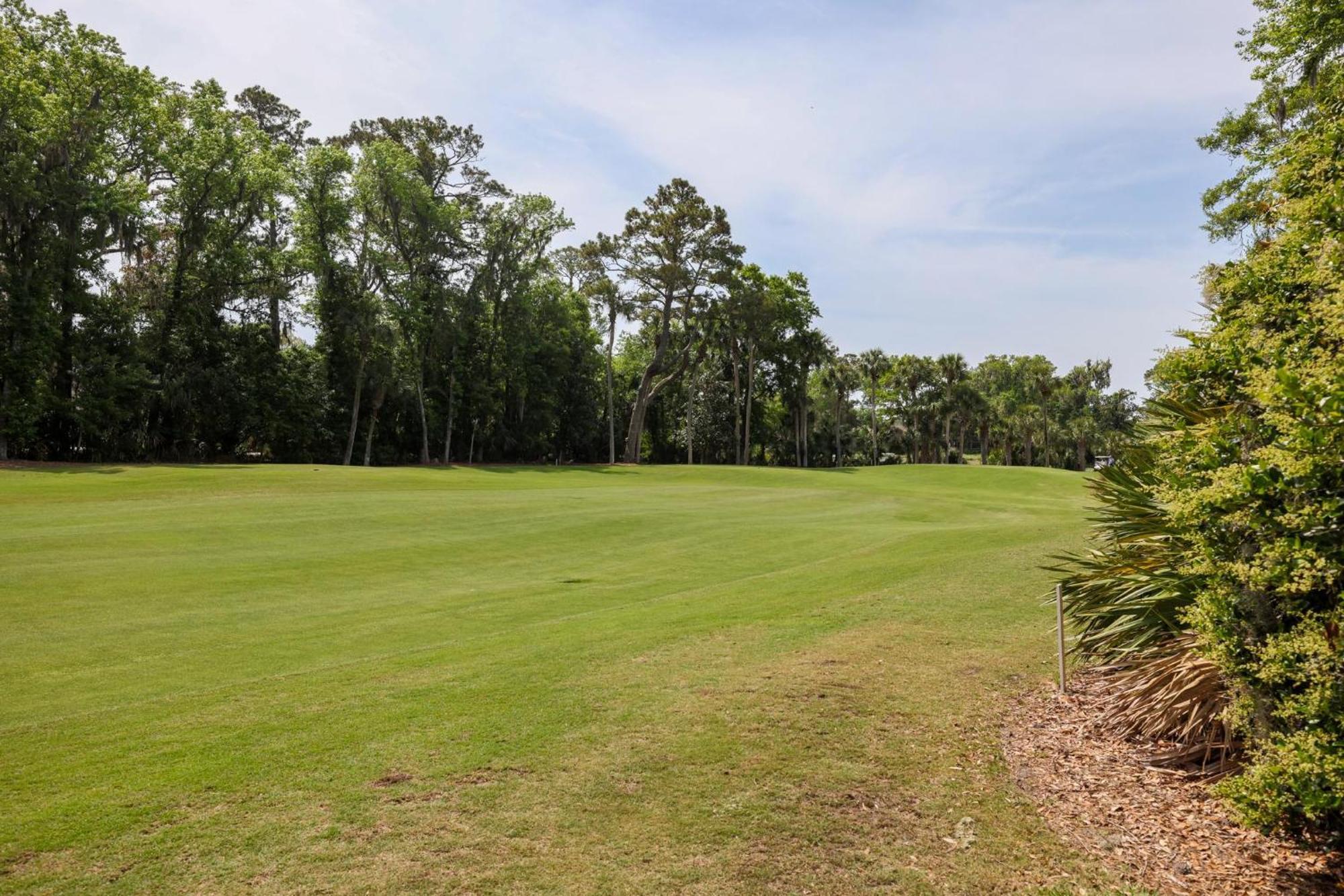 25 Red Maple * Hilton Head Island
