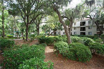Hotel Sands Village At Forest By Hilton Head 2*