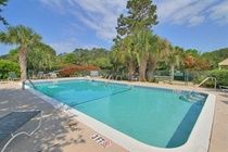 Palmetto Dunes Plantation By Hilton Head Accommodations