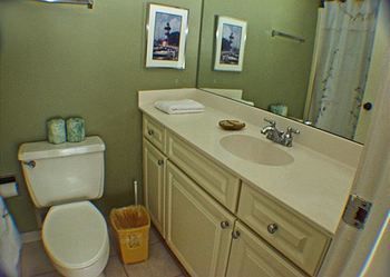 Forest Beach By Seashore Vacations Hotel