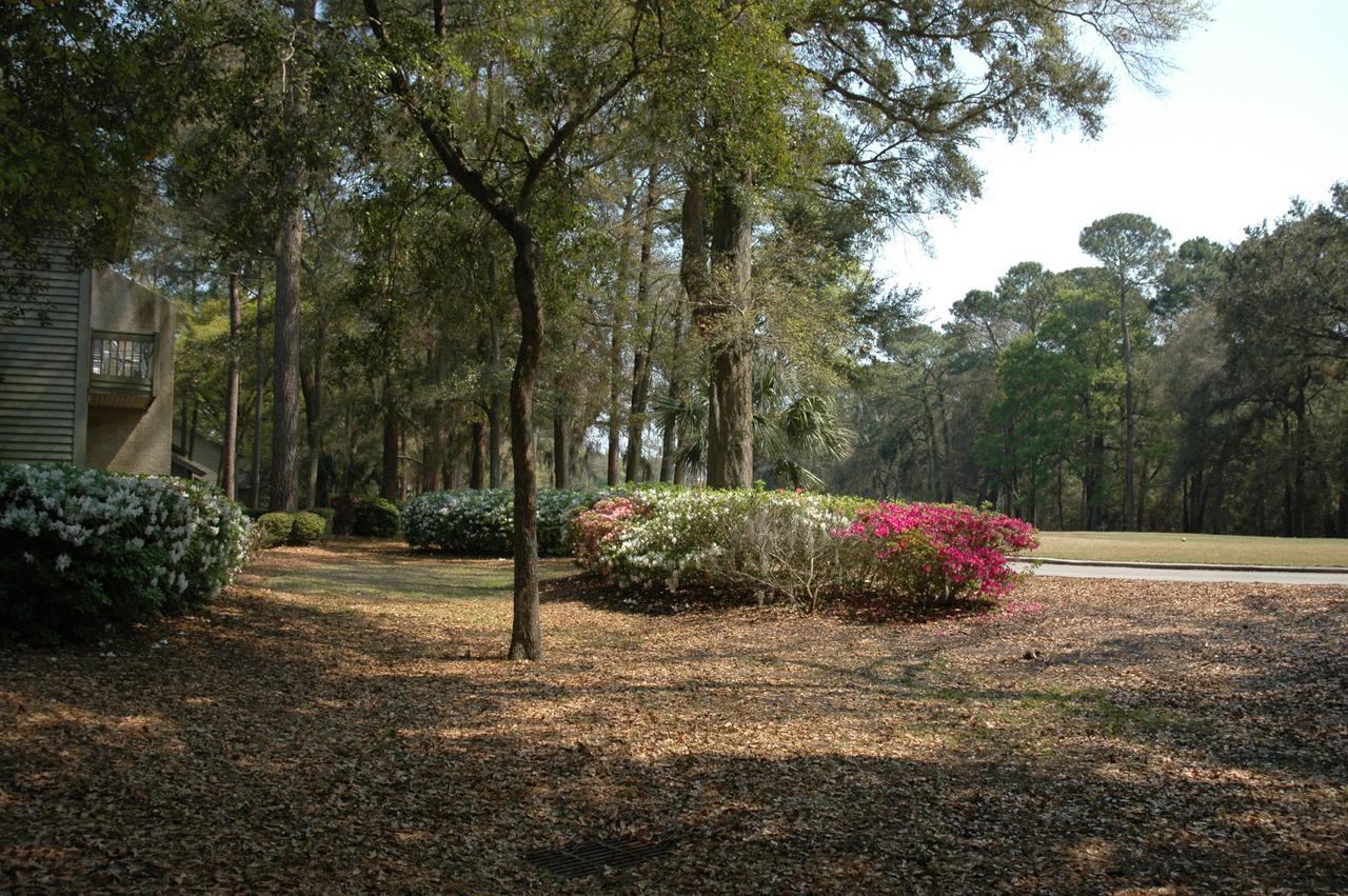 Carolina Club By Spinnaker 3*