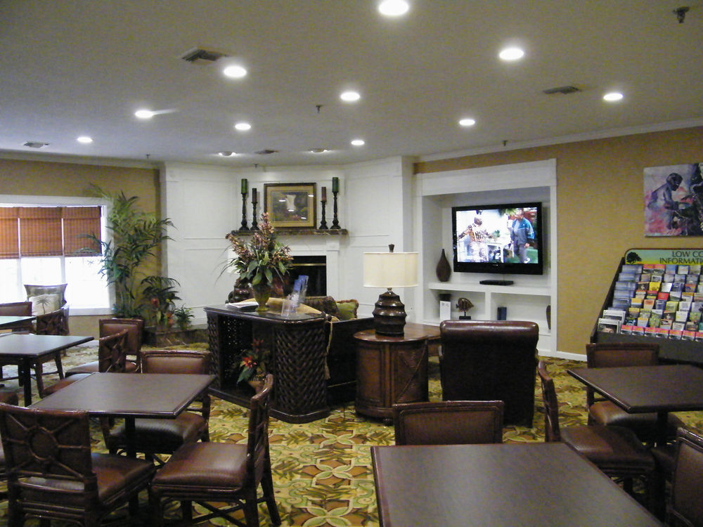 Hotel Palmera And 3*
