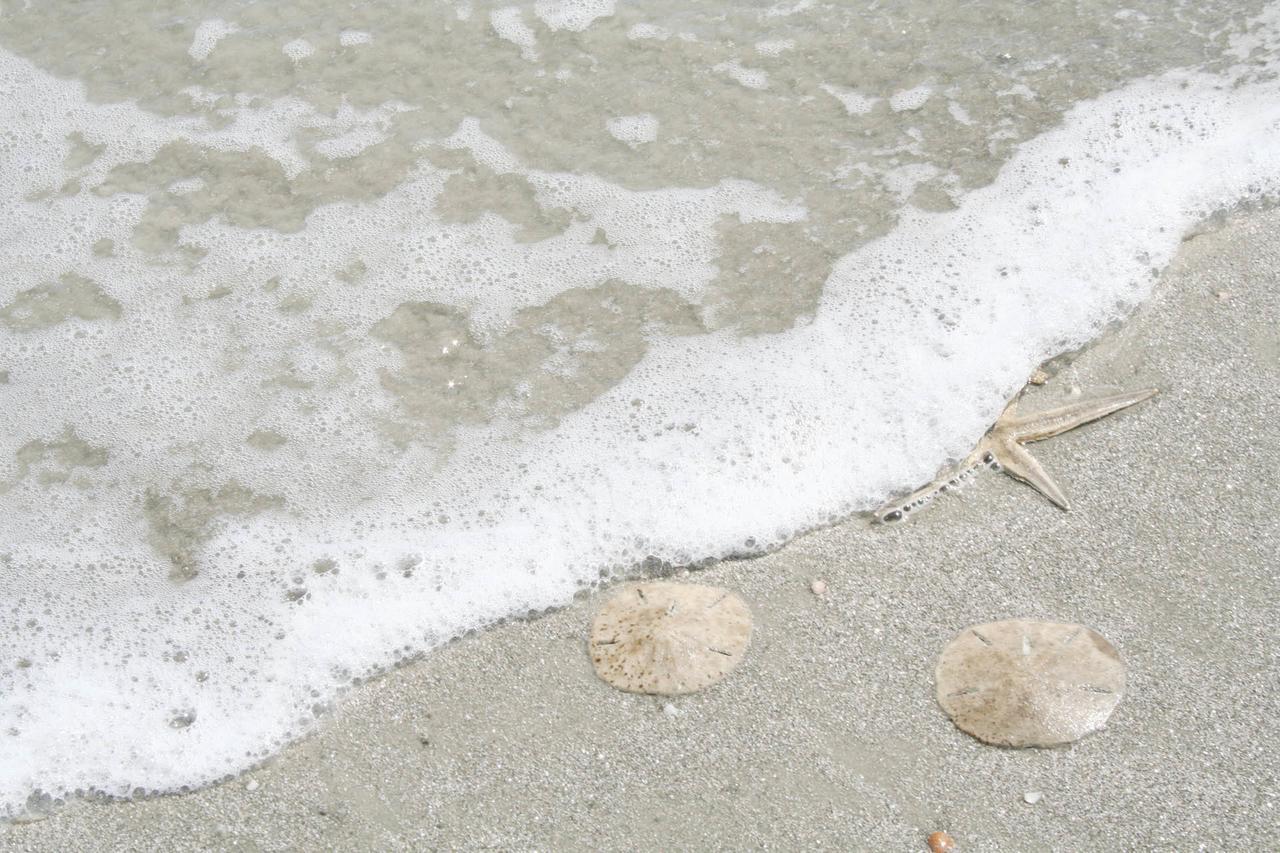 Sea Spray 1 *