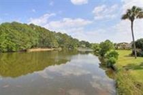 Palmetto Dunes Plantation By Hilton Head Accommodations *