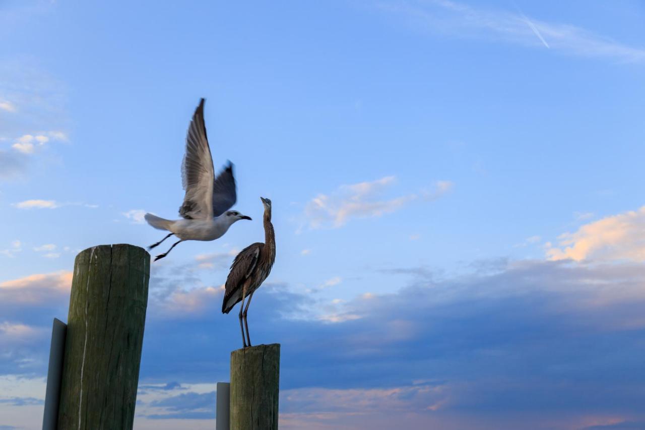 Coligny Holiday home *
