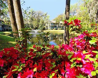 Spinnaker At Shipyard By Hilton Head Resort 2*