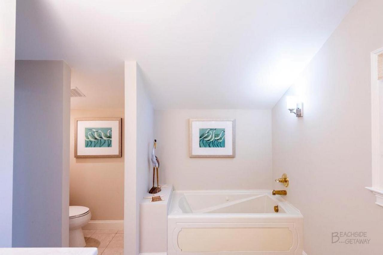 19 Jacana - Carolina *