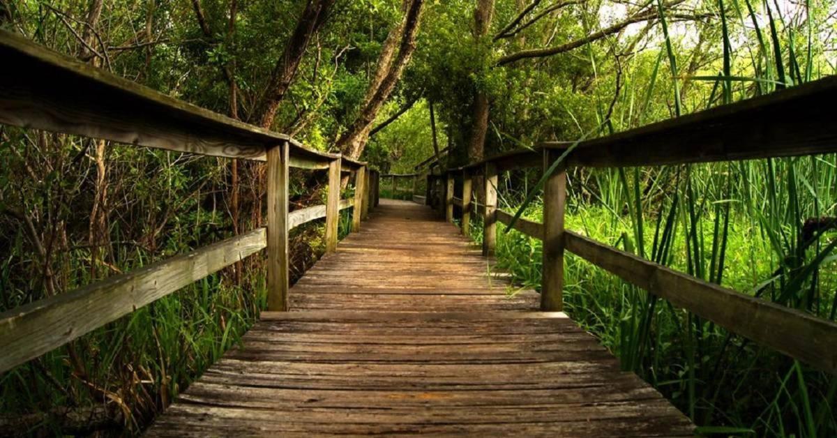 1 Bayberry Lane Holiday home Hilton Head Island